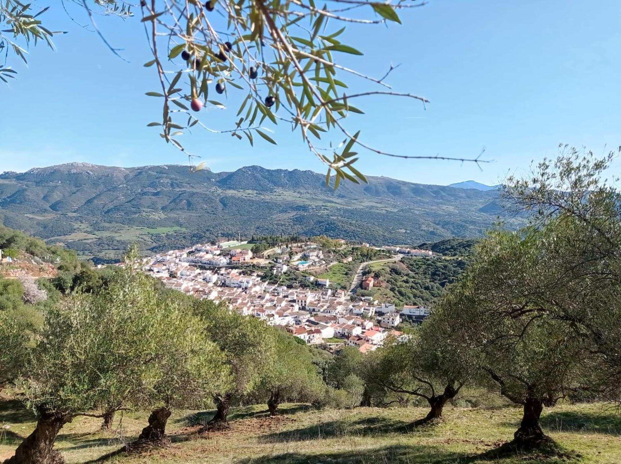 Apartamento Valle Del Guadiaro Cortes de la Frontera Esterno foto